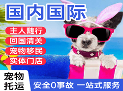 盐城南洋机场货运国际宠物托运 【国